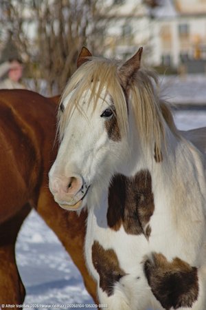 20260104-135320-0888.jpg (268 kB)