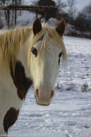 20260104-135348-0890.jpg (282 kB)