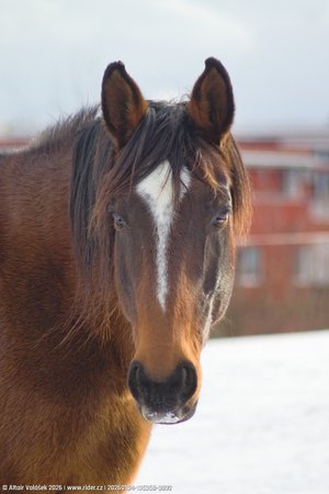 20260104-135358-0892.jpg (234 kB)