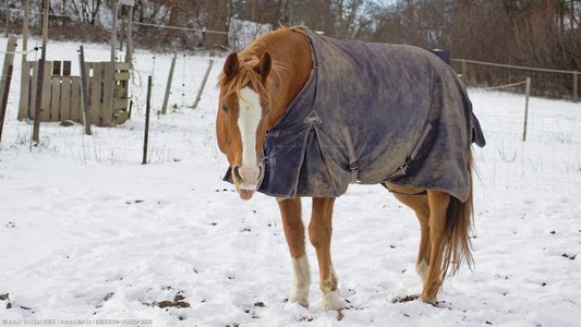 20260104-140033-0905.jpg (427 kB)