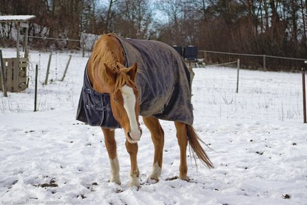 20260104-140041-0909.jpg (531 kB)