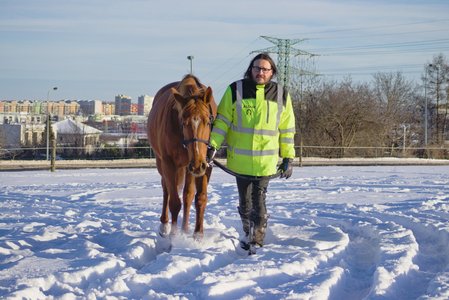 20260111-150009-1266.jpg (594 kB)