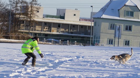 20260111-150200-1277.jpg (589 kB)