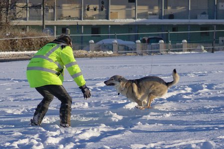 20260111-150201-1278.jpg (644 kB)