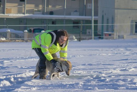 20260111-150221-1285.jpg (548 kB)