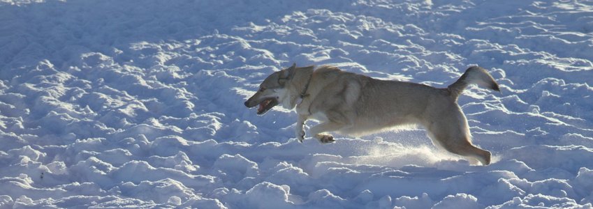 20260111-150329-1310.jpg (304 kB)