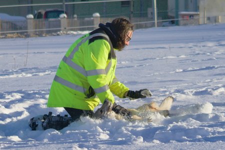 20260111-150414-1323.jpg (528 kB)