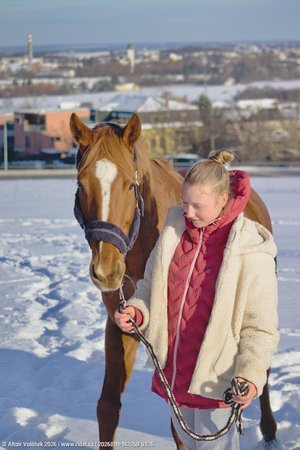 20260111-142259-0926.jpg (302 kB)