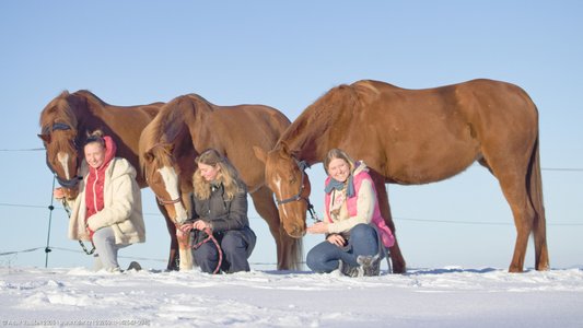 20260111-142647-0945.jpg (330 kB)