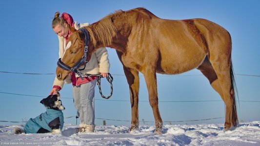 20260111-143025-0997.jpg (459 kB)