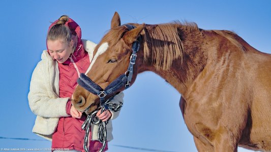 20260111-143045-1008.jpg (499 kB)