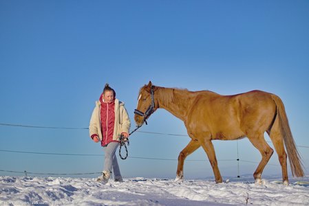 20260111-143147-1014.jpg (439 kB)