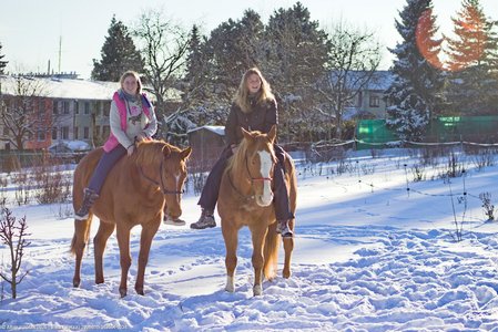 20260111-143554-1034.jpg (773 kB)