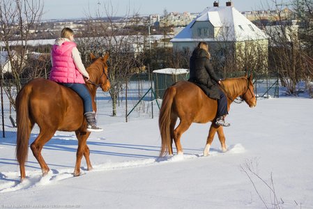 20260111-143634-1037.jpg (723 kB)