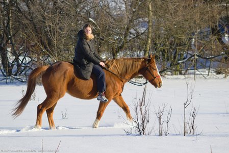 20260111-143641-1038.jpg (598 kB)