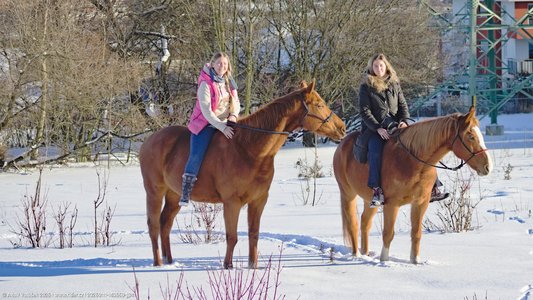 20260111-143650-1041.jpg (718 kB)