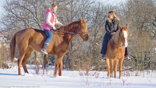 20260111-143731-1052.jpg (861 kB)