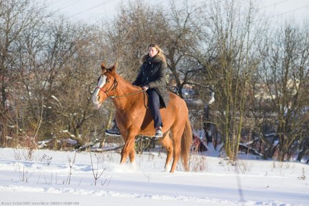 20260111-143827-1058.jpg (573 kB)