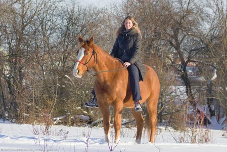 20260111-143832-1061.jpg (715 kB)