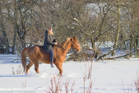 20260111-144254-1086.jpg (777 kB)