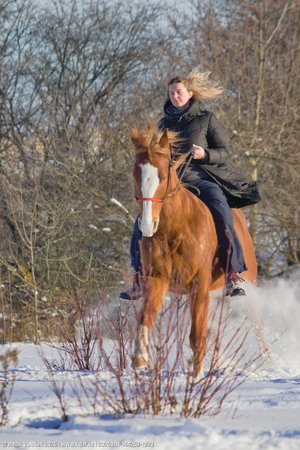 20260111-144259-1090.jpg (379 kB)