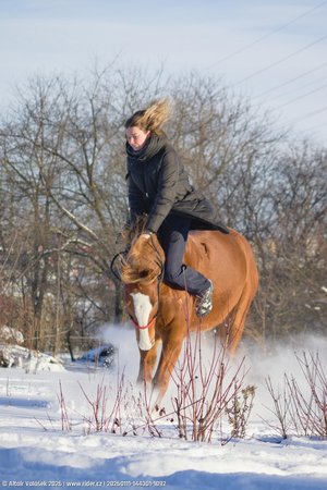 20260111-144301-1092.jpg (343 kB)