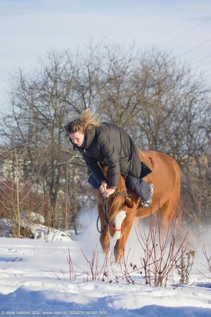 20260111-144301-1093.jpg (323 kB)