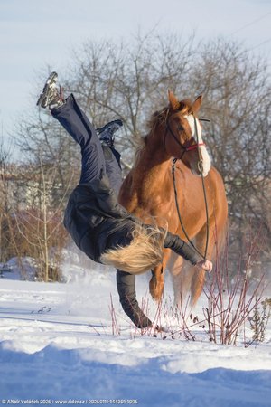 20260111-144301-1095.jpg (336 kB)