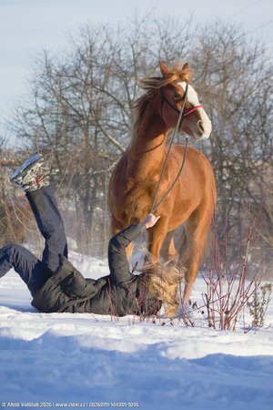 20260111-144301-1096.jpg (340 kB)