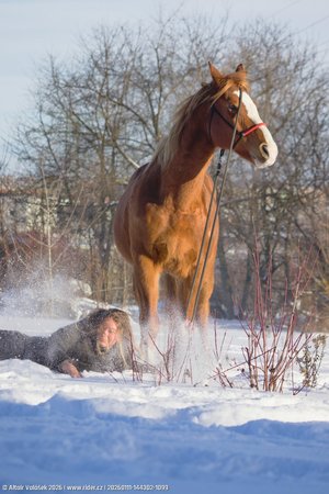 20260111-144302-1099.jpg (358 kB)