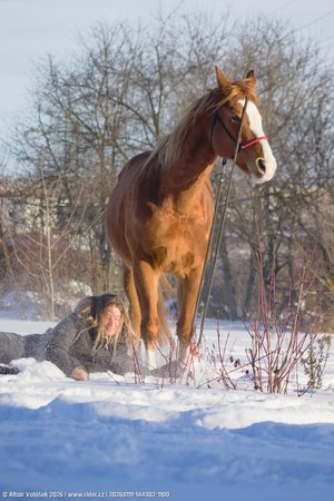 20260111-144302-1100.jpg (357 kB)