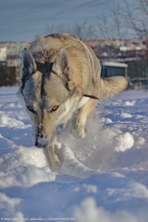 20260111-144635-1126.jpg (242 kB)