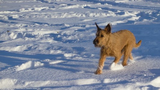 20260111-145509-1194.jpg (507 kB)