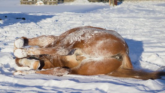 20260111-145558-1215.jpg (538 kB)