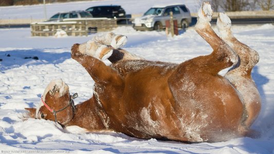 20260111-145559-1218.jpg (536 kB)