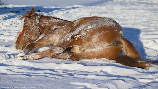 20260111-145601-1219.jpg (586 kB)