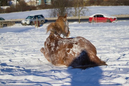 20260111-145606-1224.jpg (589 kB)