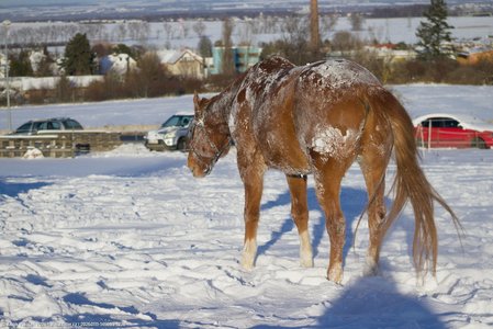 20260111-145609-1228.jpg (599 kB)