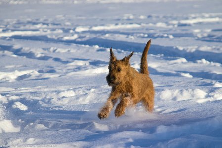 20260111-145634-1242.jpg (522 kB)