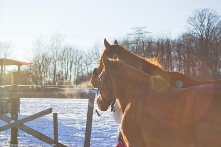 20260111-150114-1268.jpg (438 kB)