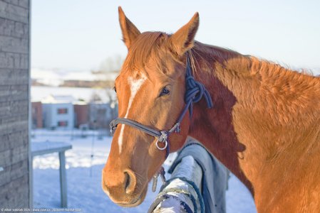 20260111-150454-1334.jpg (447 kB)