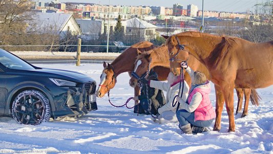 20260111-151614-1419.jpg (678 kB)