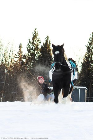 20260111-154406-1480.jpg (228 kB)