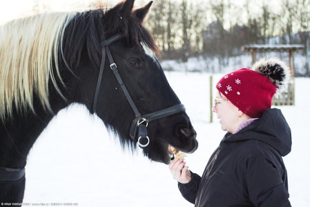 20260111-154625-1521.jpg (366 kB)