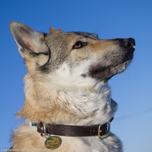 20260111-144548-1110.jpg (562 kB)