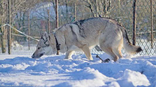 20260111-144616-1114.jpg (543 kB)