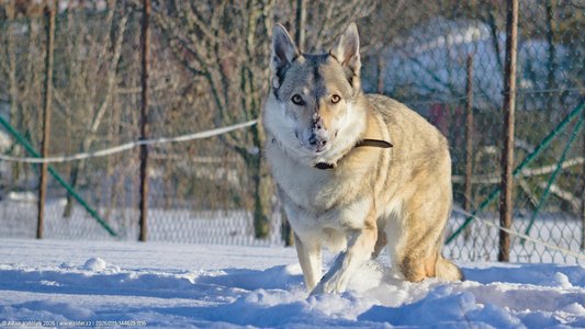 20260111-144621-1116.jpg (527 kB)