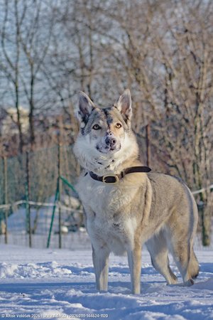 20260111-144624-1120.jpg (341 kB)