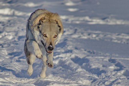 20260111-144820-1155.jpg (453 kB)