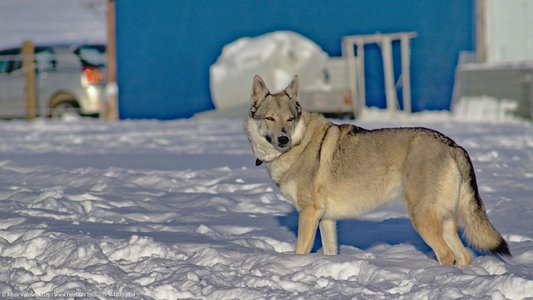 20260111-144839-1159.jpg (489 kB)